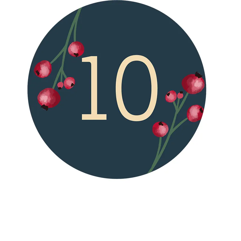 Tâche n° 10 en décembre : arroser vos plantes