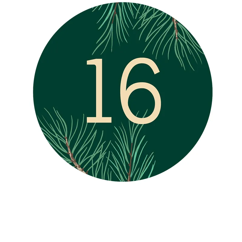 Tâche n° 16 en décembre : rentrer les plantes sensibles