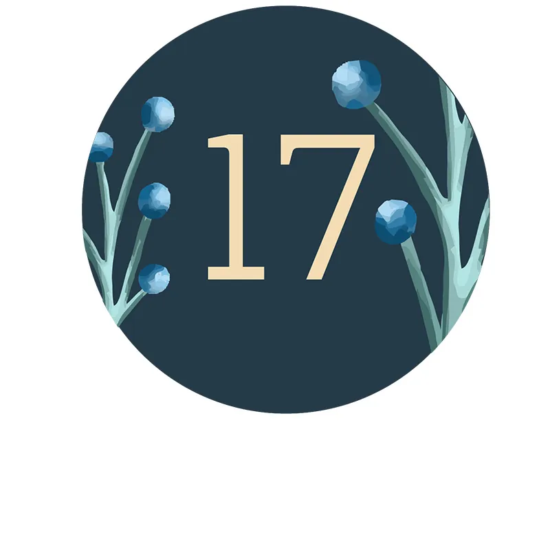 Tâche n° 17 en décembre : planter des primevères et pensées