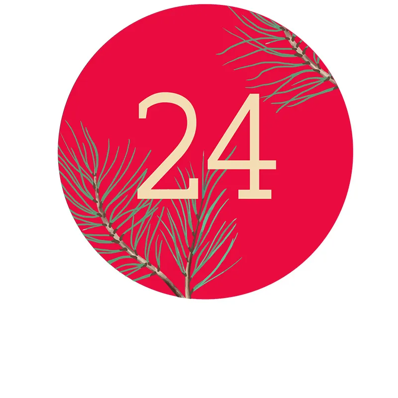 Tâche n° 24 en décembre : déneiger votre serre de jardin
