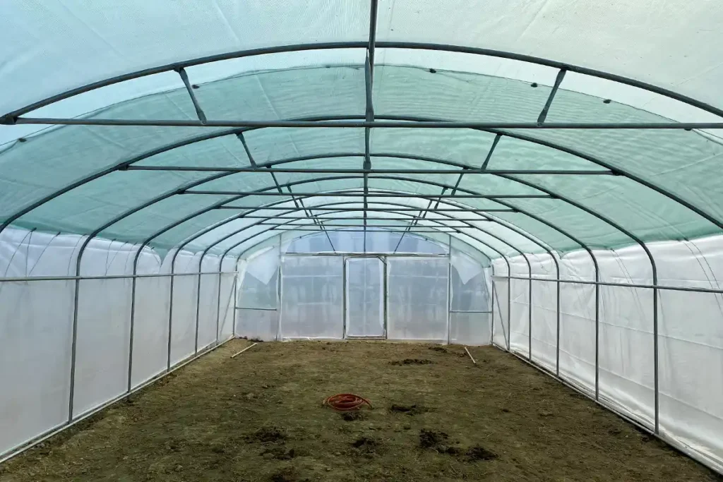 Intérieur d'une serre tunnel équipée d'un voile d'ombrage