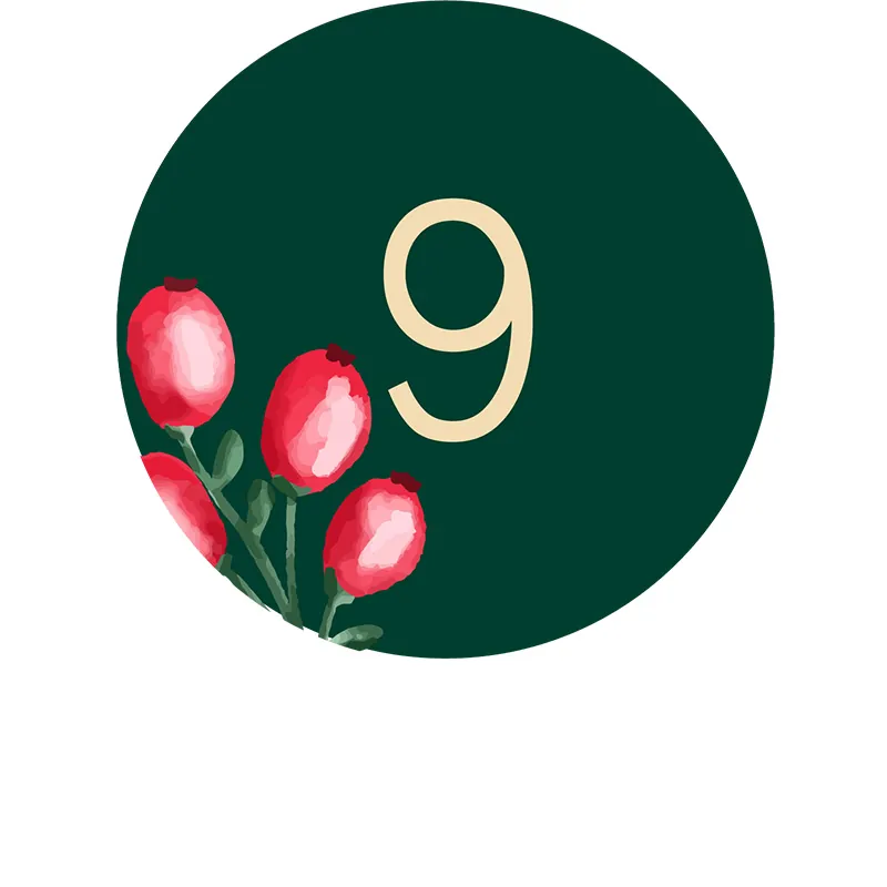 Tâche n° 9 en décembre : planter des noyaux et pépins