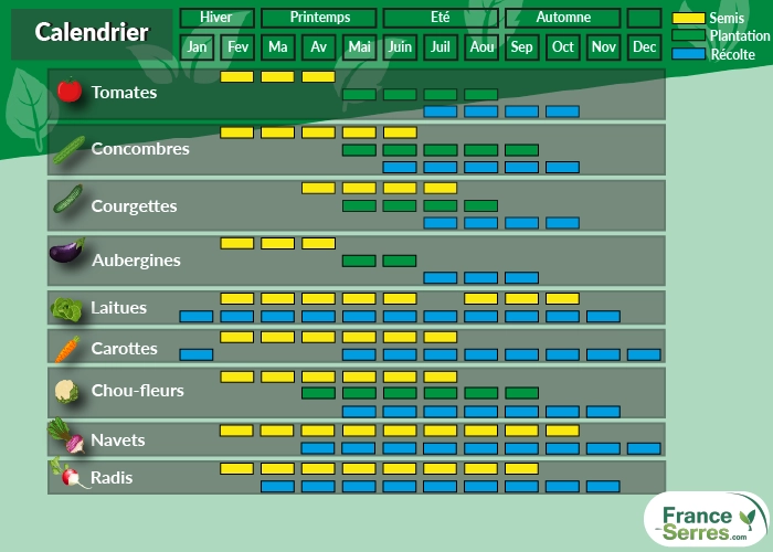 calendrier culture légumes sous serre