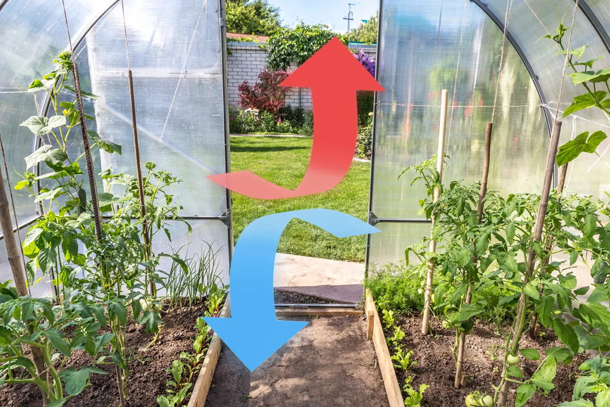 Quelle serre de jardin pour tomates choisir ? - Gamm vert