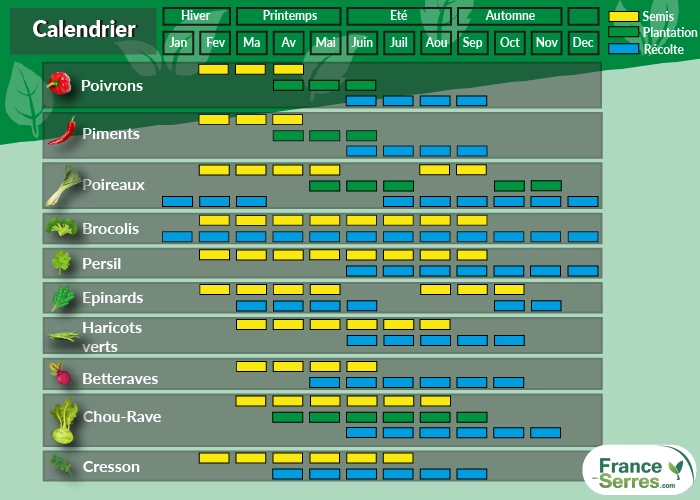 agenda culture potagères sous serre