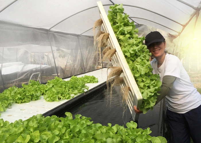 ferme aquaponique