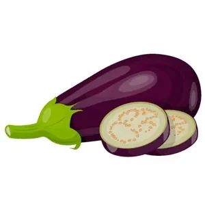 arrosage aubergine