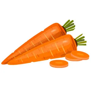 arrosage carotte