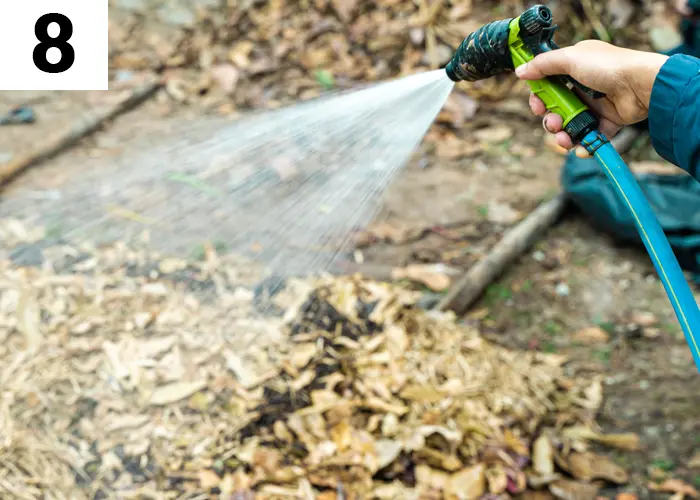 Tâche n°8 en juillet au jardin : Arroser le compost