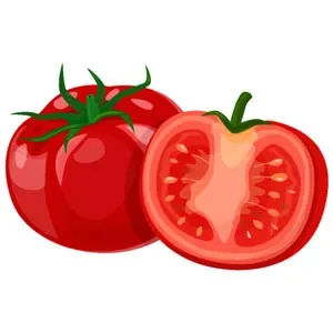 arrosage tomate