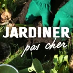 Astuces pour jardiner pas cher