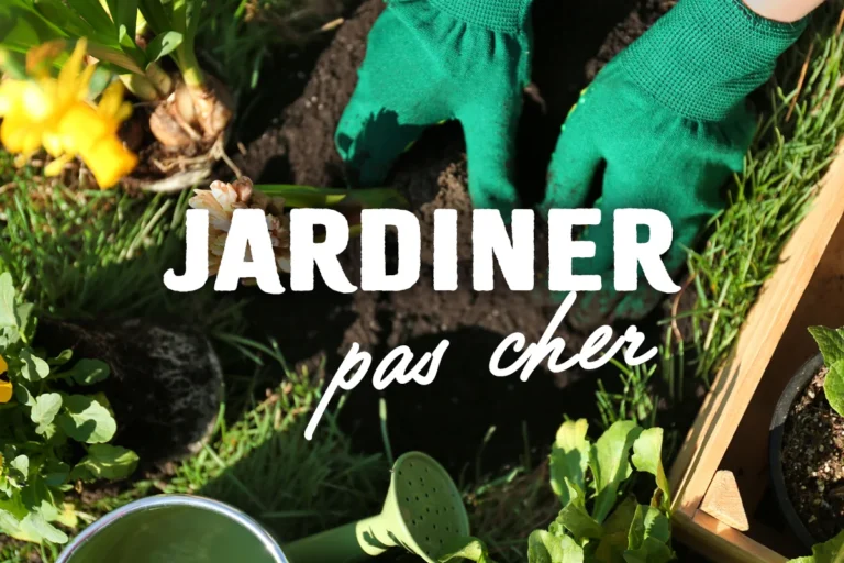 Jardiner à petit budget : 15 astuces pour réduire vos dépenses de jardinage - France Serres