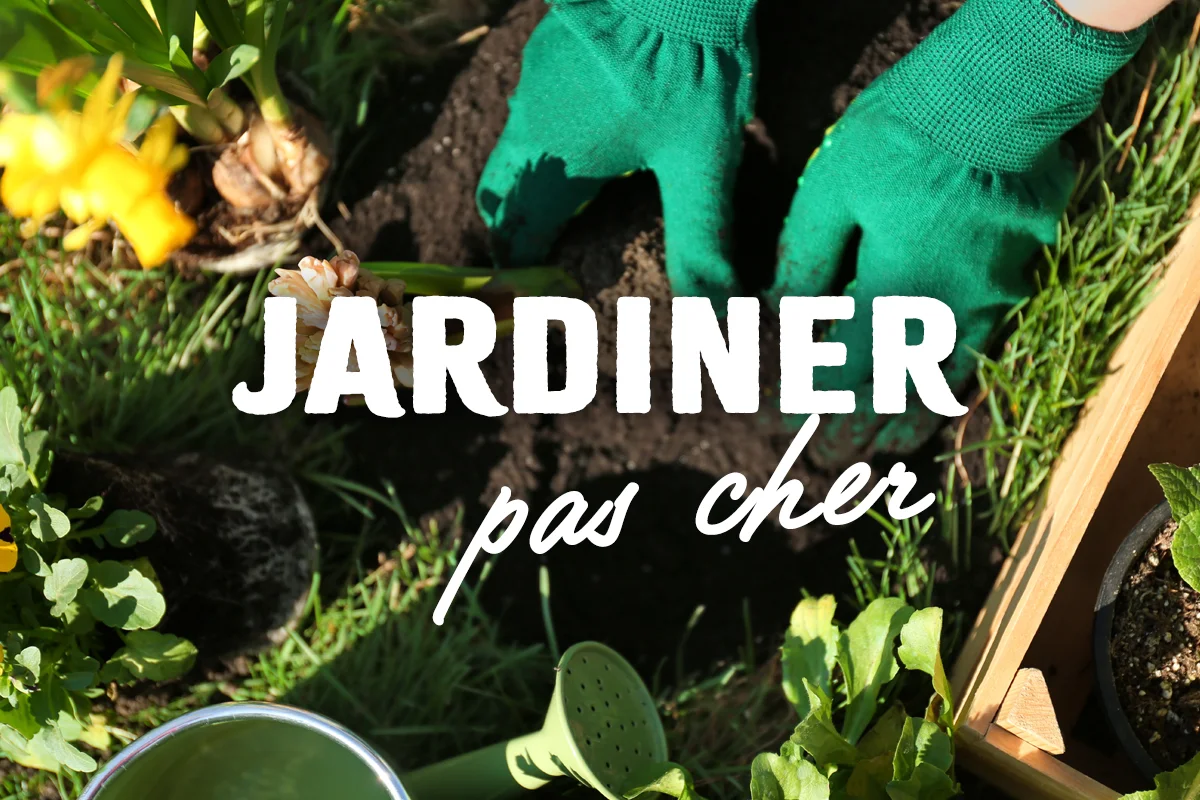 Astuces pour jardiner pas cher