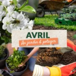 Que faire en avril au jardin et au potager ?