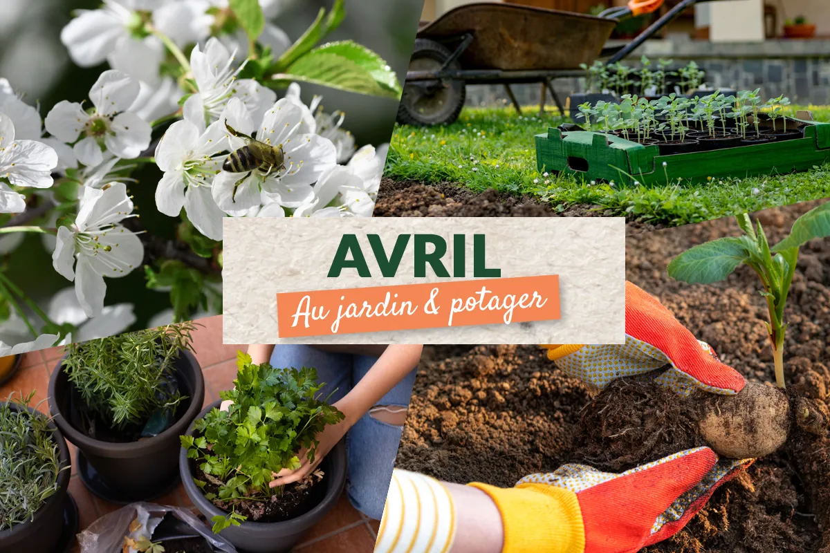 Que faire en avril au jardin et au potager ?