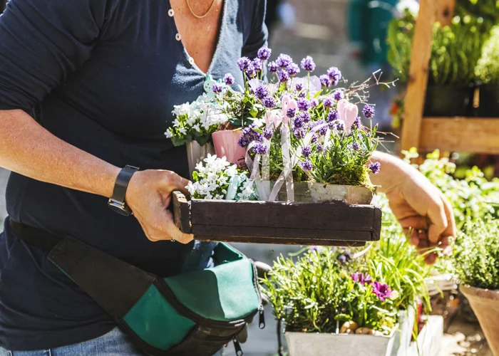 Les bourses aux plantes sont le lieu idéal pour faire bonnes affaires