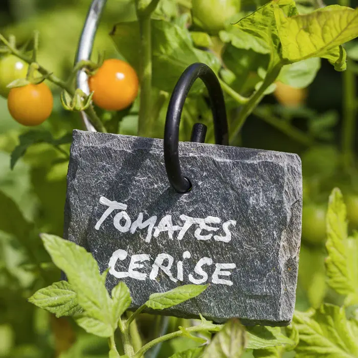 Idée cadeau jardinage n°25 : étiquettes en ardoise Idée cadeau jardinage n°25 : étiquettes en ardoise