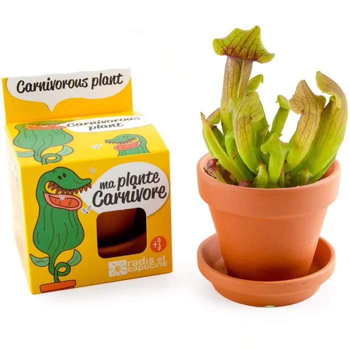 Idée cadeau jardinage n°36 : kit jardinage enfants Idée cadeau jardinage n°36 : kit jardinage enfants