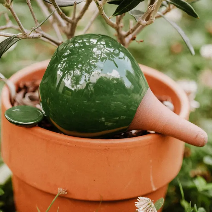Idée cadeau jardinage n°14 : ollas à planter Idée cadeau jardinage n°14 : ollas à planter