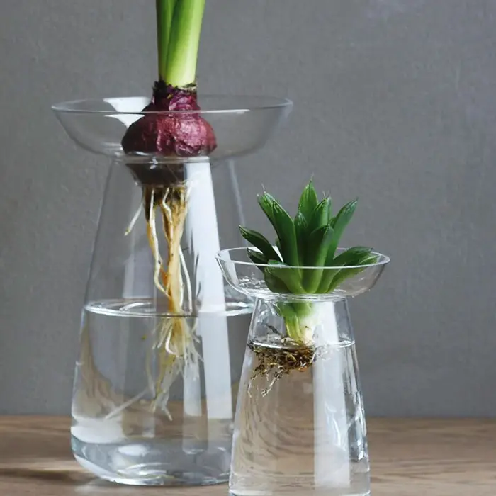 Idée cadeau jardinage n°13 : vase aquaculture Idée cadeau jardinage n°13 : vase aquaculture