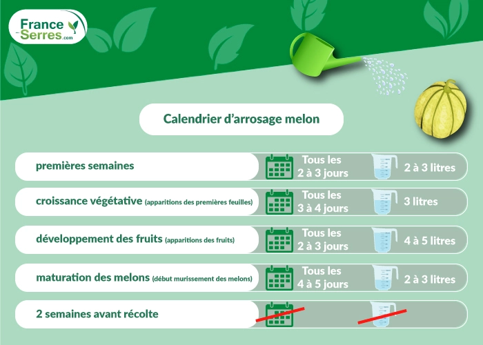 Calendrier arrosage melon