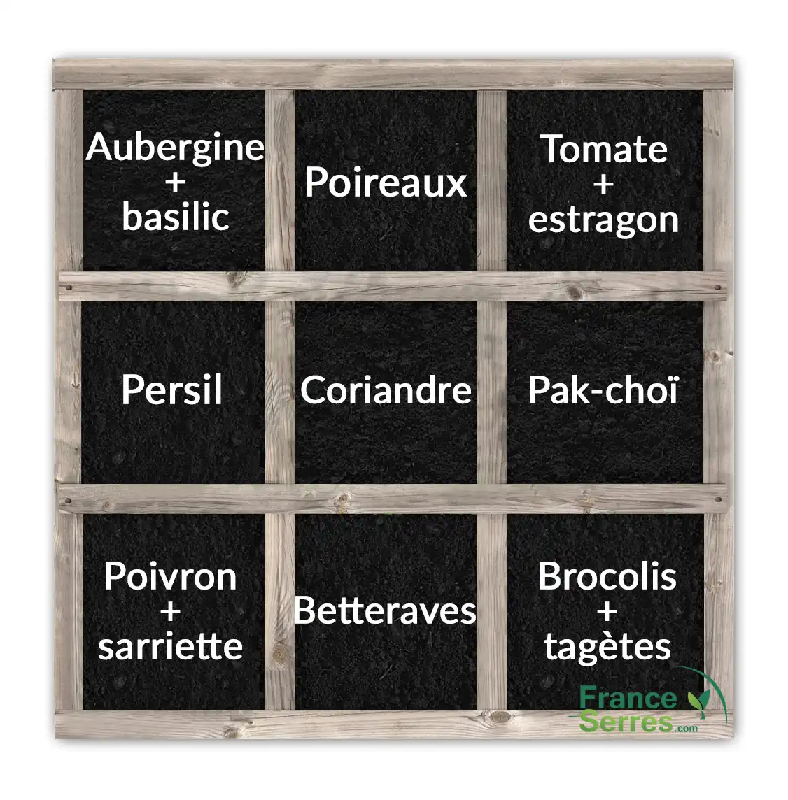 Carré potager en août Carré potager en août