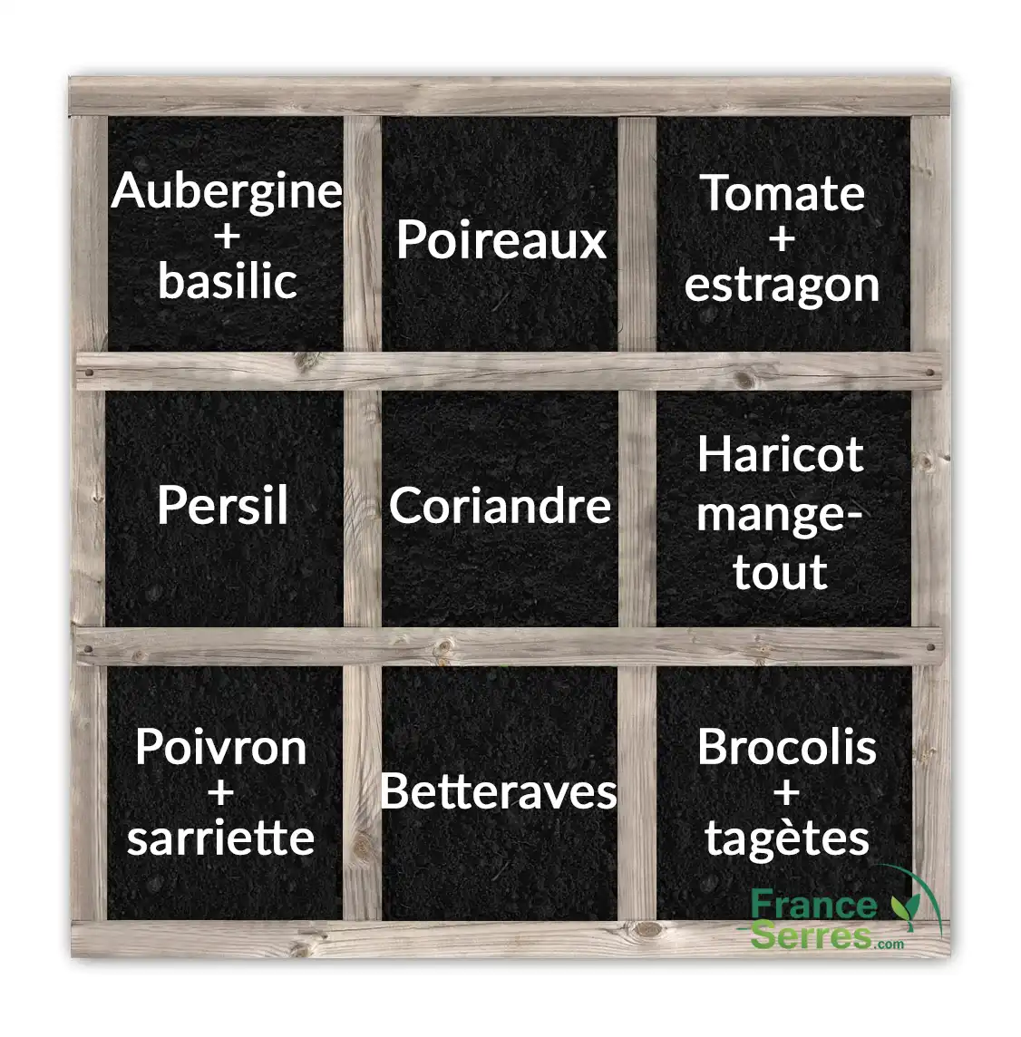 Carré potager en juillet Carré potager en juillet