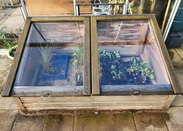 Serre châssis en bois faite avec de vieilles fenêtres