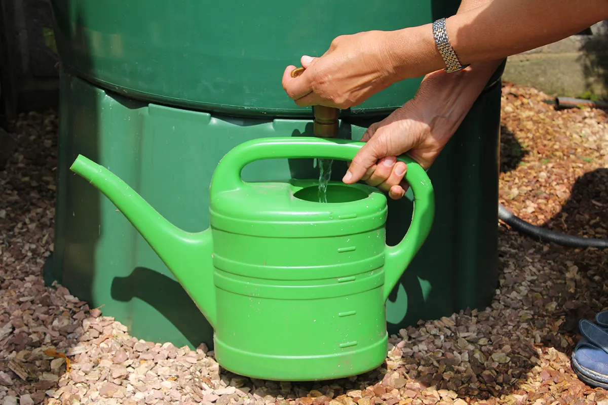 Récupérateur d'eau de pluie droit