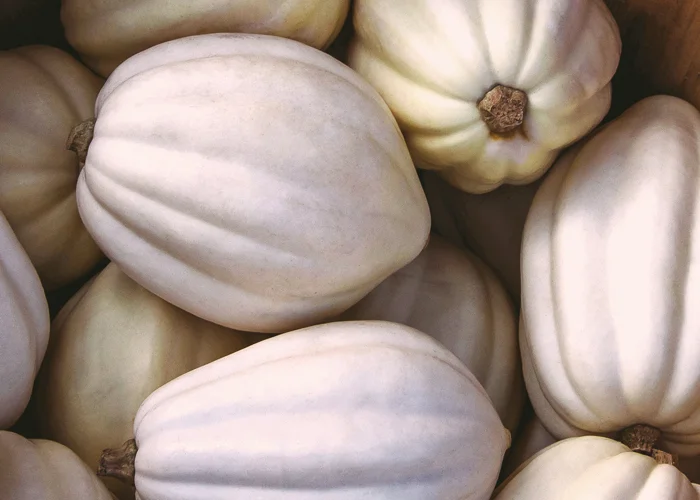 citrouilles mashed potato