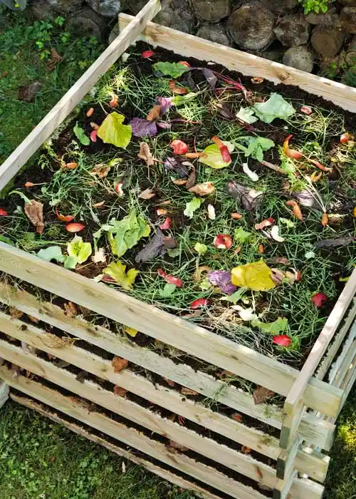 compost limaces escargots