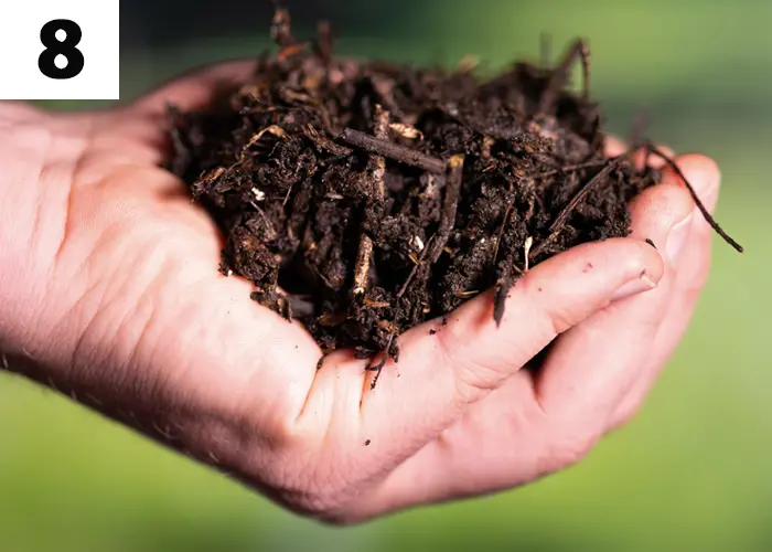 Tache n°8 : Épandre du compost au potager et sur les massifs