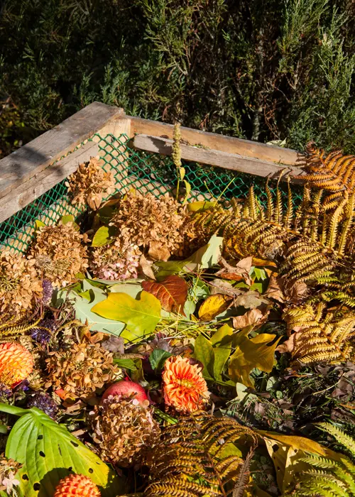 Un composteur en bois, rempli de déchets de jardin en septembre Un composteur en bois, rempli de déchets de jardin en septembre