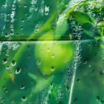 Comment éviter la condensation dans une serre de jardin ?