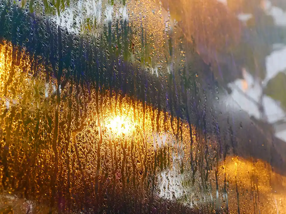 Condensation à l'intérieur d'une serre