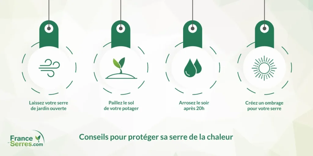 conseils pour protéger les plantes sous serre en aout