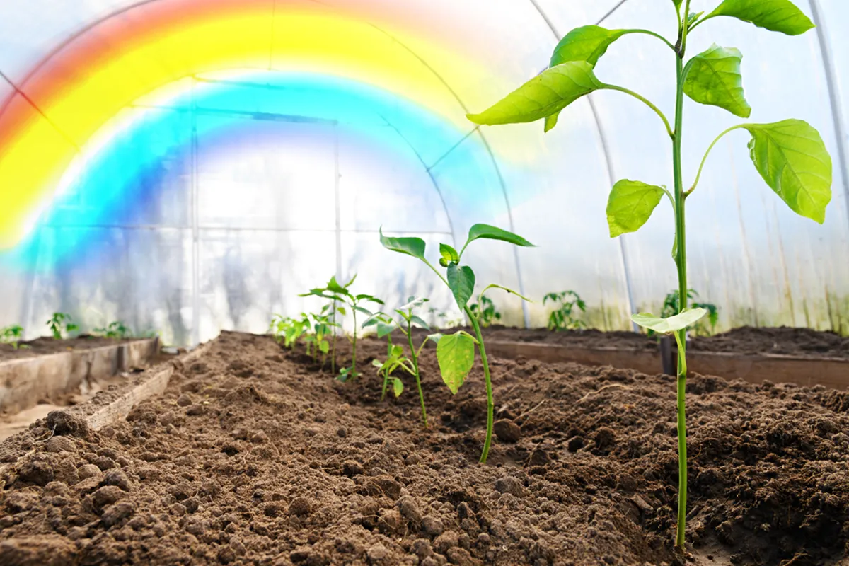 Quelle bâche choisir pour sa serre de jardin ? - Jardin et Potager