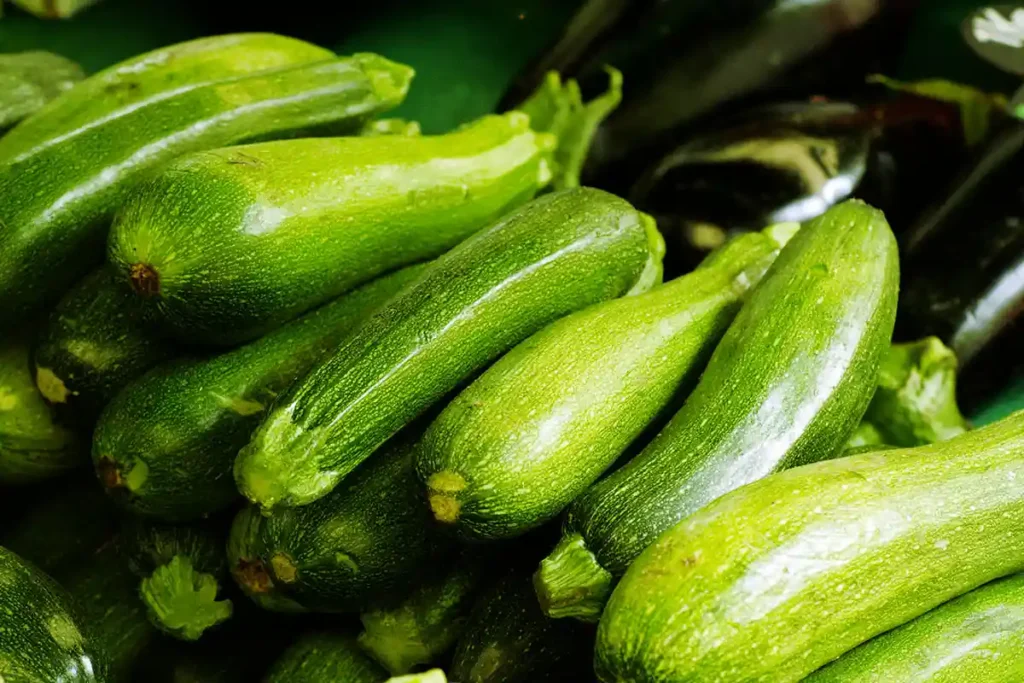 Courgette de variété ambassador