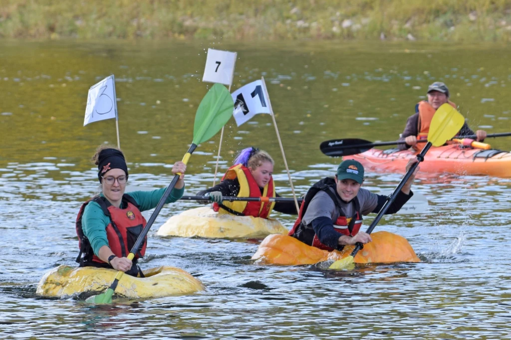 course de bateaux citrouilles potirothon