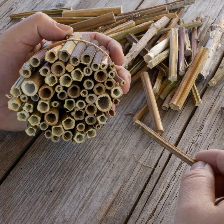 Création d'un abri à insectes en bois pour le potager en août