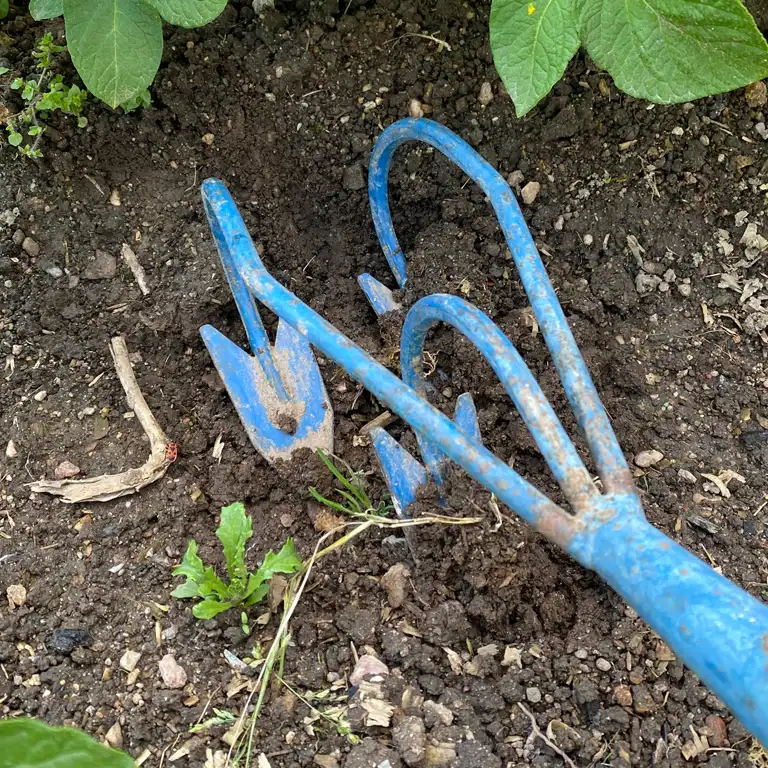 Désherbage du potager en mai Désherbage du potager en mai