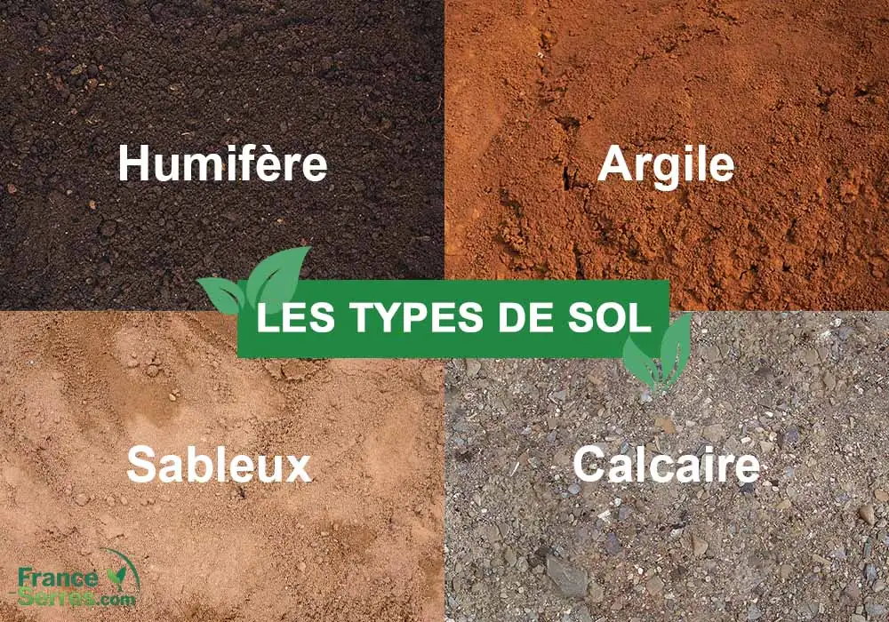 différents types sols sous serre