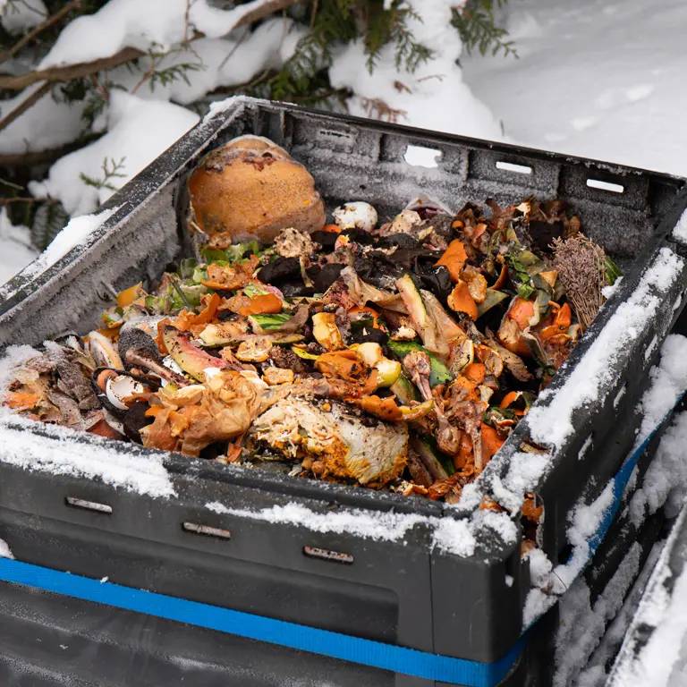 L'hiver, laissez le compost couvert sans le retourner L'hiver, laissez le compost couvert sans le retourner