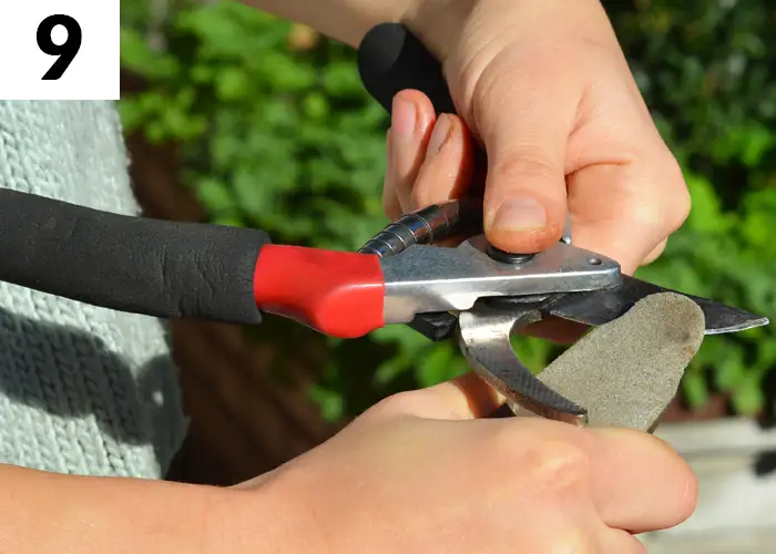 Tâche n°9 décembre au jardin : Entretenir les outils de jardinage