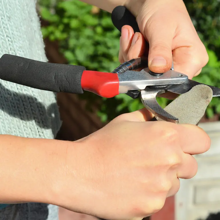 Entretien des outils de jardinage en décembre Entretien des outils de jardinage en décembre