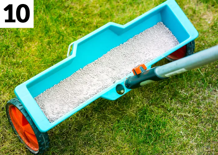Tâche n°10 en mai au jardin : entretenir la pelouse