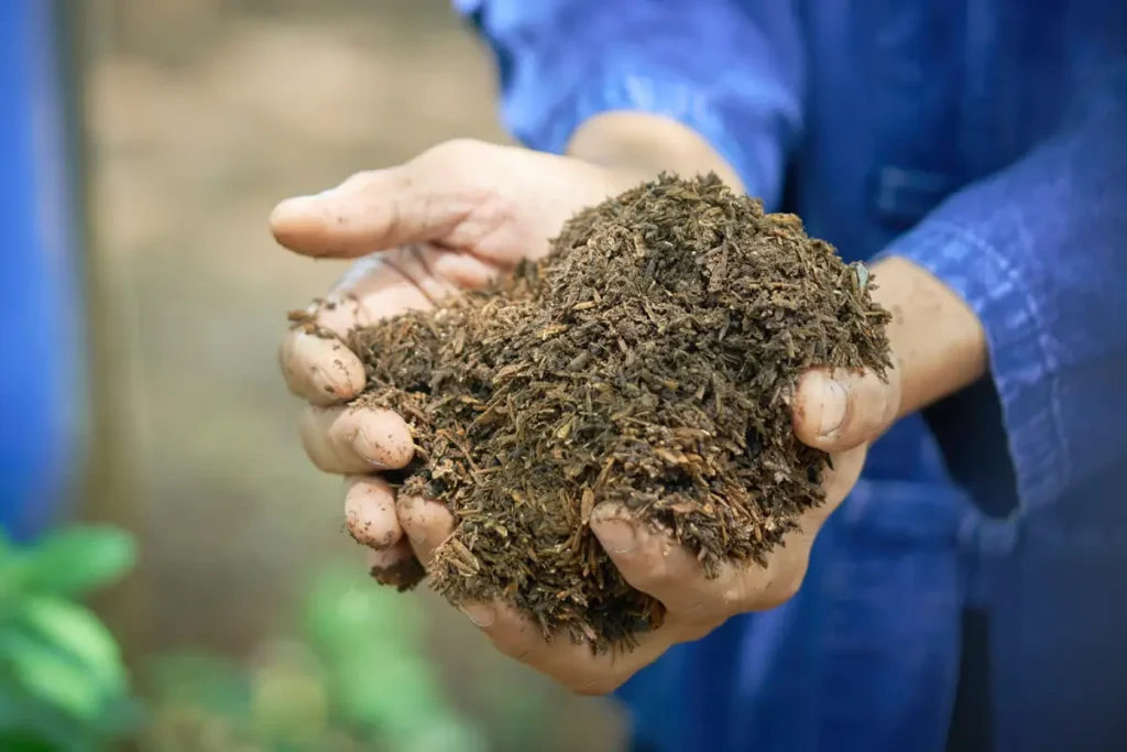 fertilisant sous serre de jardin