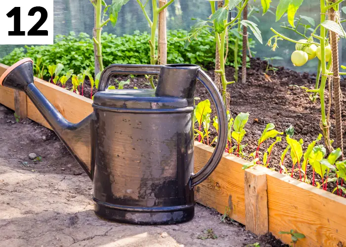 Tâche n°12 en août au jardin : Adopter les gestes pour lutter contre la canicule