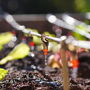 goutteur goutte-à-goutte