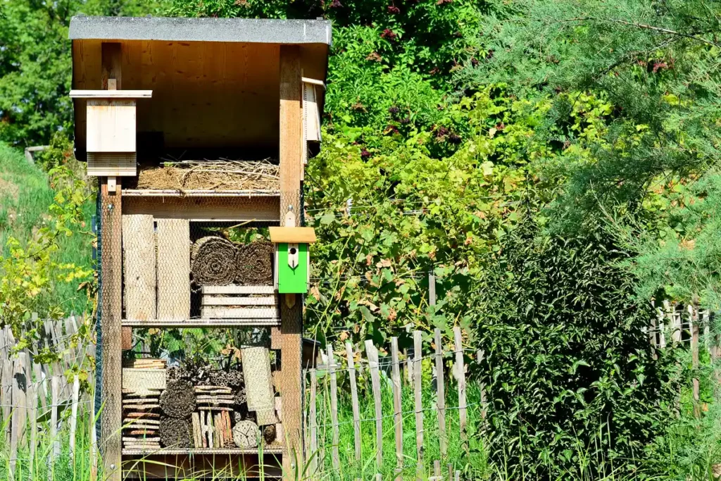 hôtel à insectes pour la biodiversité